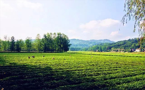 端午節(jié)武漢周邊自駕游（地區(qū)+門票+攻略）