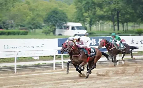 2019中國(guó)武漢速度賽馬公開(kāi)賽上半程結(jié)果