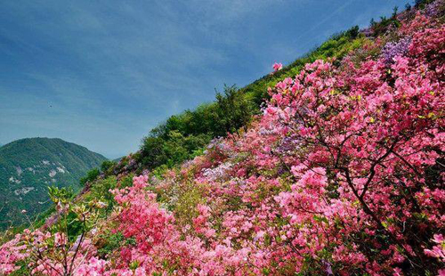 黃岡有什么好玩的地方 黃岡旅游景點