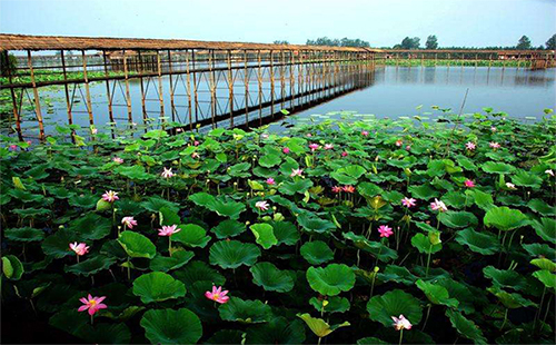 洪湖生態(tài)旅游風(fēng)景區(qū)好玩嗎（門(mén)票+ 景點(diǎn)）