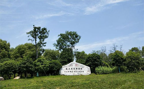 荊州楚王車馬陣景區(qū)有什么好玩的 門票多少