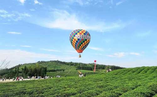 萬畝茶園俄羅斯方塊小鎮(zhèn)門票（地址+怎么樣）