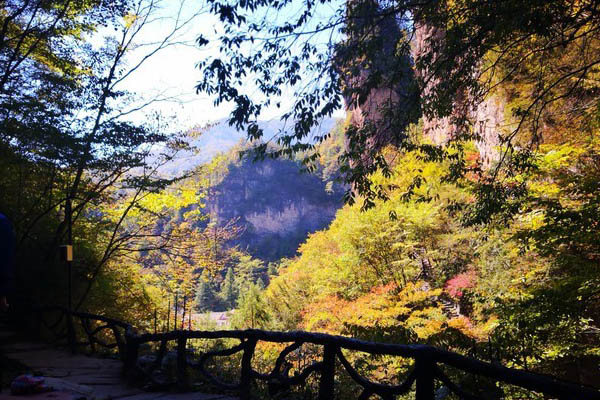 神農(nóng)架的紅坪畫廊好玩嗎 門票是多少