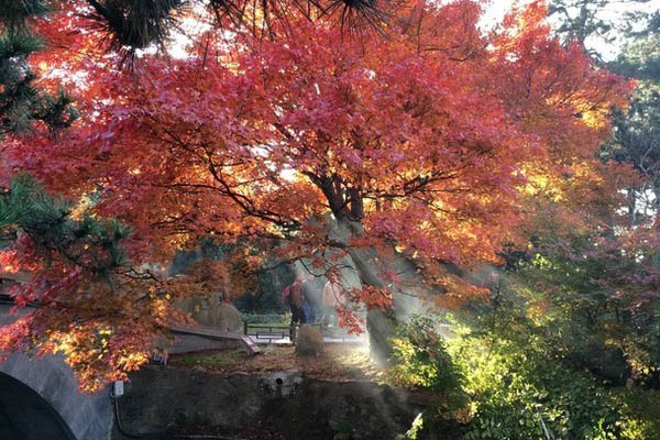 秋天廬山旅游的門票是多少(交通路線+景點分布)