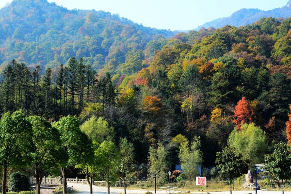 武漢怎么去大洪山風(fēng)景區(qū) 大洪山門票多少錢