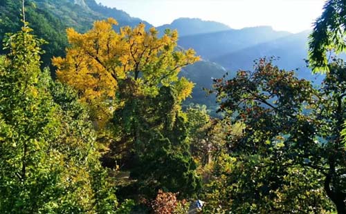 湖北省中國麻城龜峰山登山大賽即將開啟