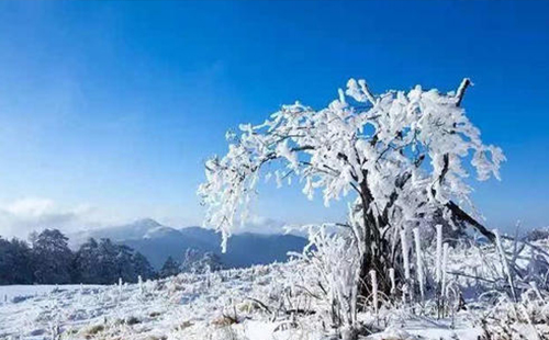 湖北神農(nóng)架迎來今年首場降雪 適合滑雪的地點推薦