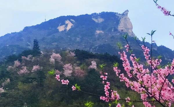 麻城龜峰山風景區(qū)門票價格_網(wǎng)上預(yù)訂_電話號碼