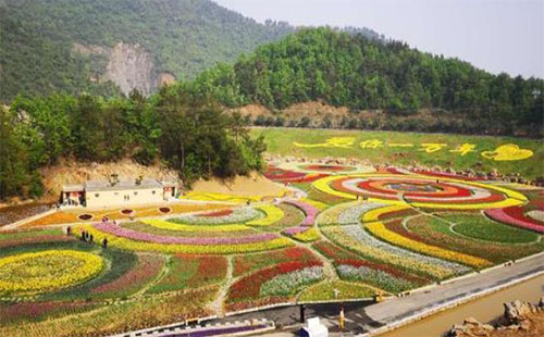 十堰秦巴生態(tài)植物園門票多少錢及優(yōu)惠政策2020