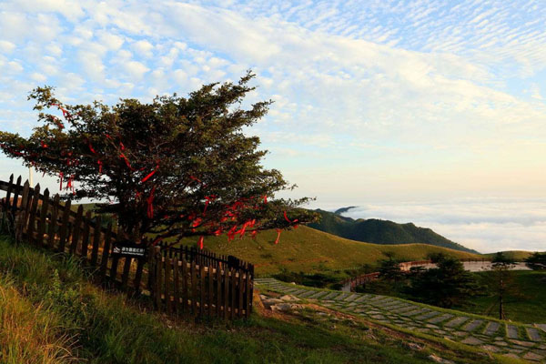 百里荒露營攻略 景區(qū)門票多少錢