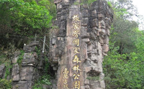 張家界國家森林公園門票多少錢 優(yōu)惠政策 幾天有效