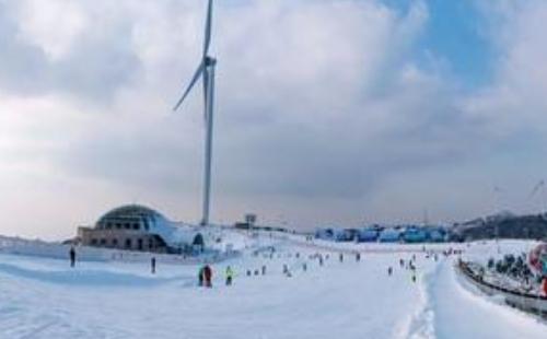 去宜昌百里荒滑雪一日游攻略