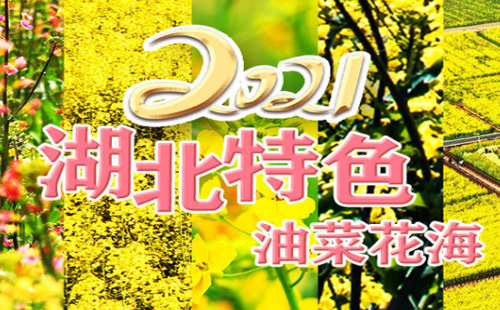 湖北十大油菜花海一覽2021（花期+地址+景點(diǎn)）