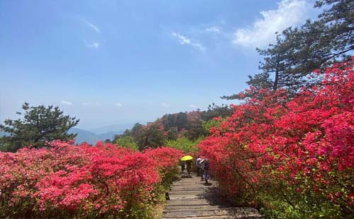 龜峰山景區(qū)2021旅游年卡價(jià)格