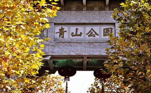 武漢青山公園門票_怎么坐車_櫻花