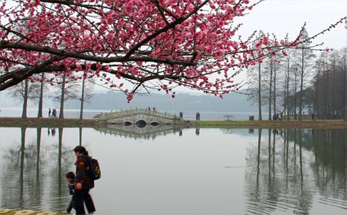 武漢東湖梅園梅花介紹_開花時間_怎么坐車