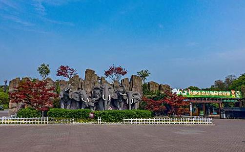 長(zhǎng)沙生態(tài)動(dòng)物園門票_演出時(shí)間_地址_攻略